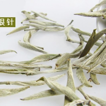 福鼎白茶春茶和秋茶的区别，让茶友难以抵抗，你也被套路过吗？