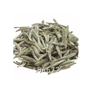 安吉白茶是哪里产的