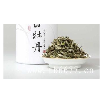 安吉白茶产区详解