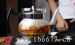 福鼎白茶第一品牌