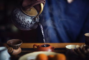 福建太姥山白茶