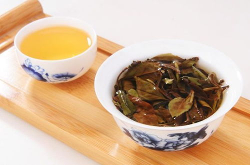 白茶适合什么茶具