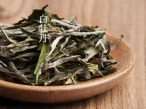 白茶适合什么茶具