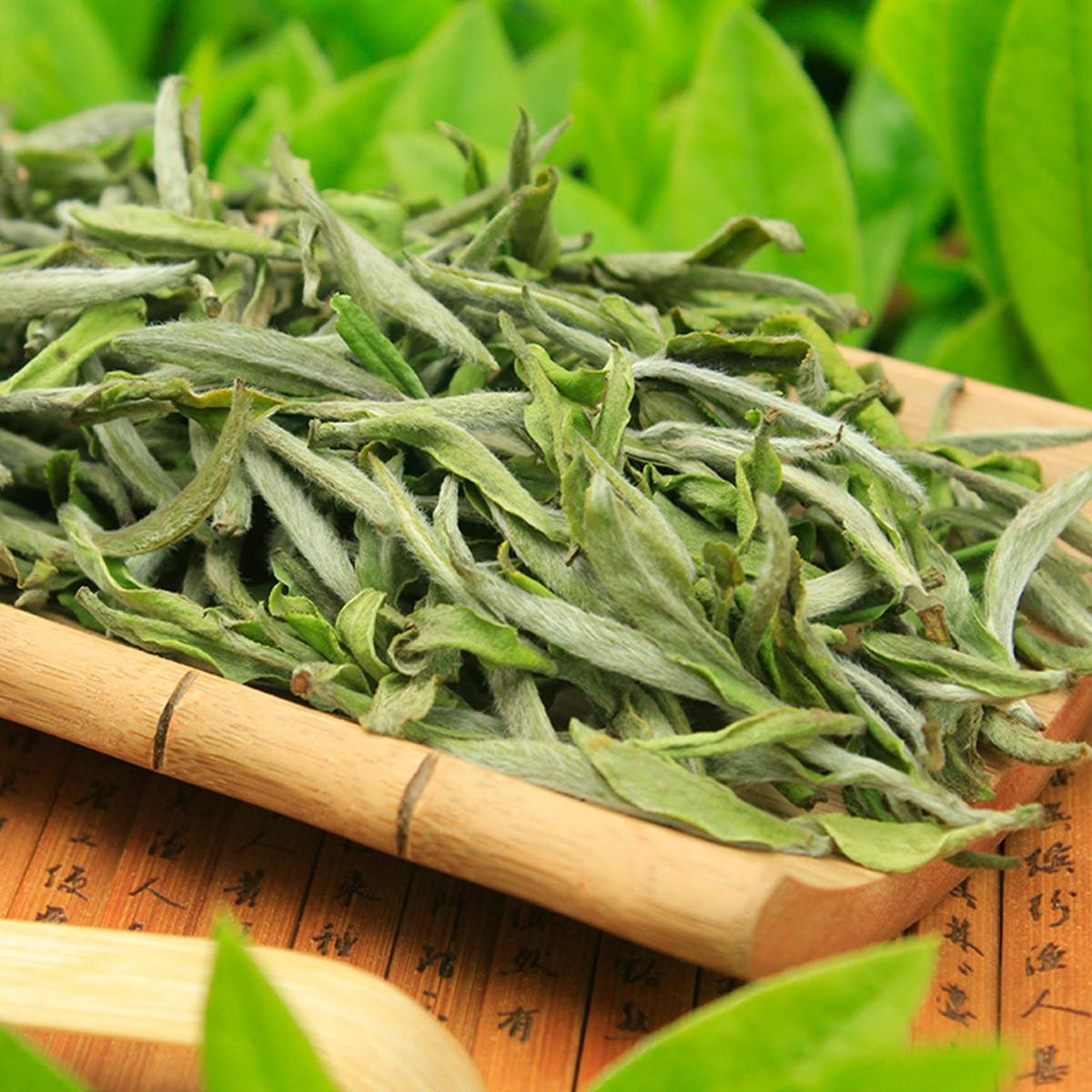    “最牛”的白茶产区在哪里?