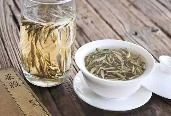 白茶属微发酵茶