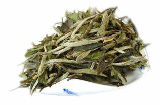 白茶属微发酵茶