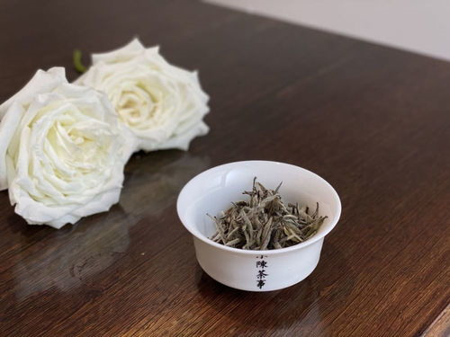 白茶属于寒性茶叶