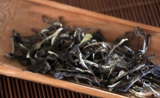 安吉白茶属于什么茶系呢？