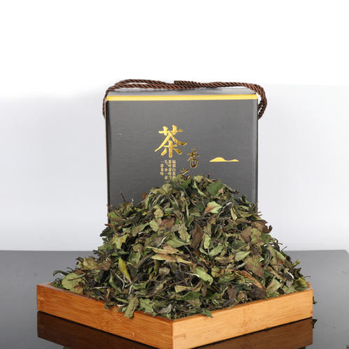 安吉黄金芽是属于白茶吗？