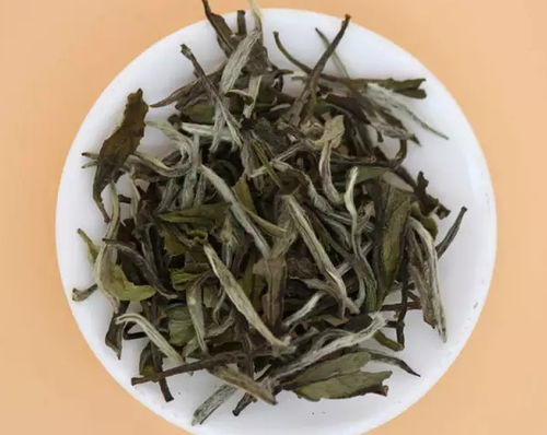 白牡丹茶