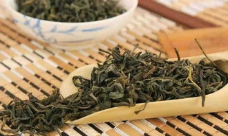 福鼎白茶的树种，最常见的有哪些呢？
