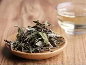 白牡丹茶能存放多久，才是最好喝的呢？