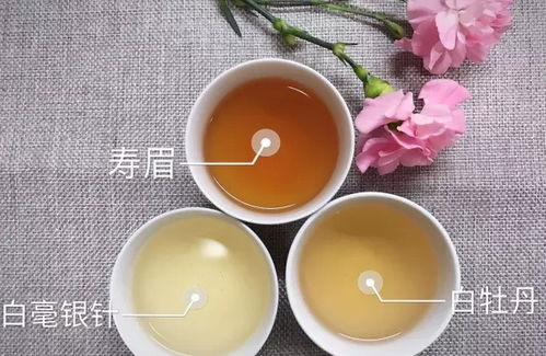 贡眉白茶的特点