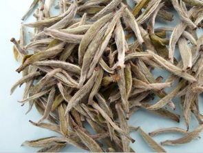 白茶中产量最高的茶——贡眉！