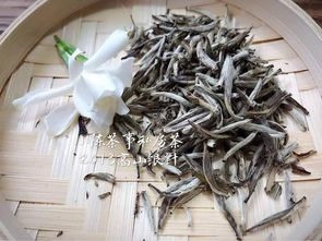 福鼎白茶的制作工艺，从什么开始？