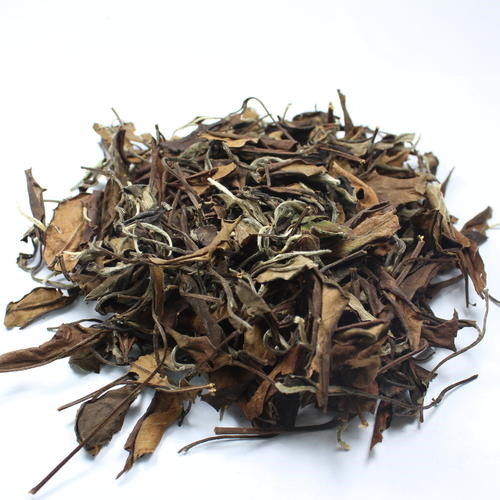 白茶种植技术