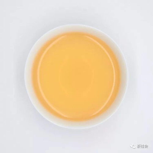 白茶好处