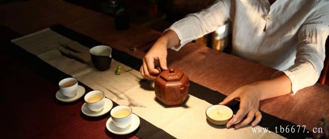 白茶冲泡方法