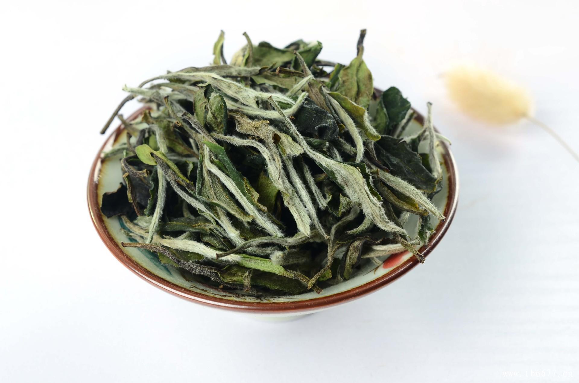 baicha0817.jpg