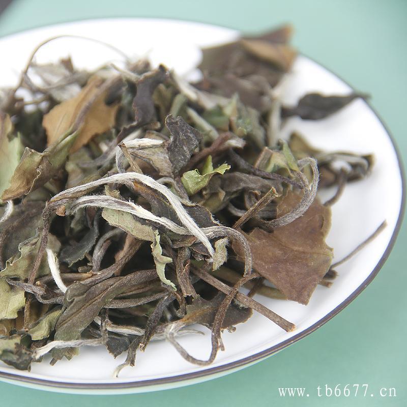 白牡丹属于发酵茶