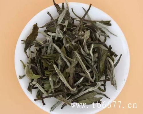白茶的树种有几种