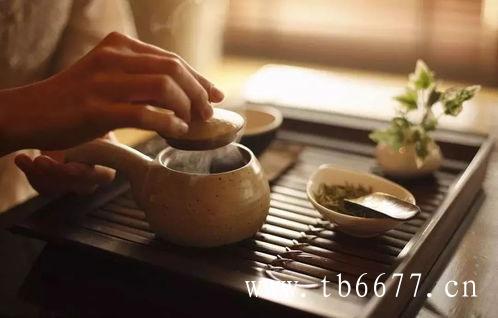 福鼎白茶饮用季节