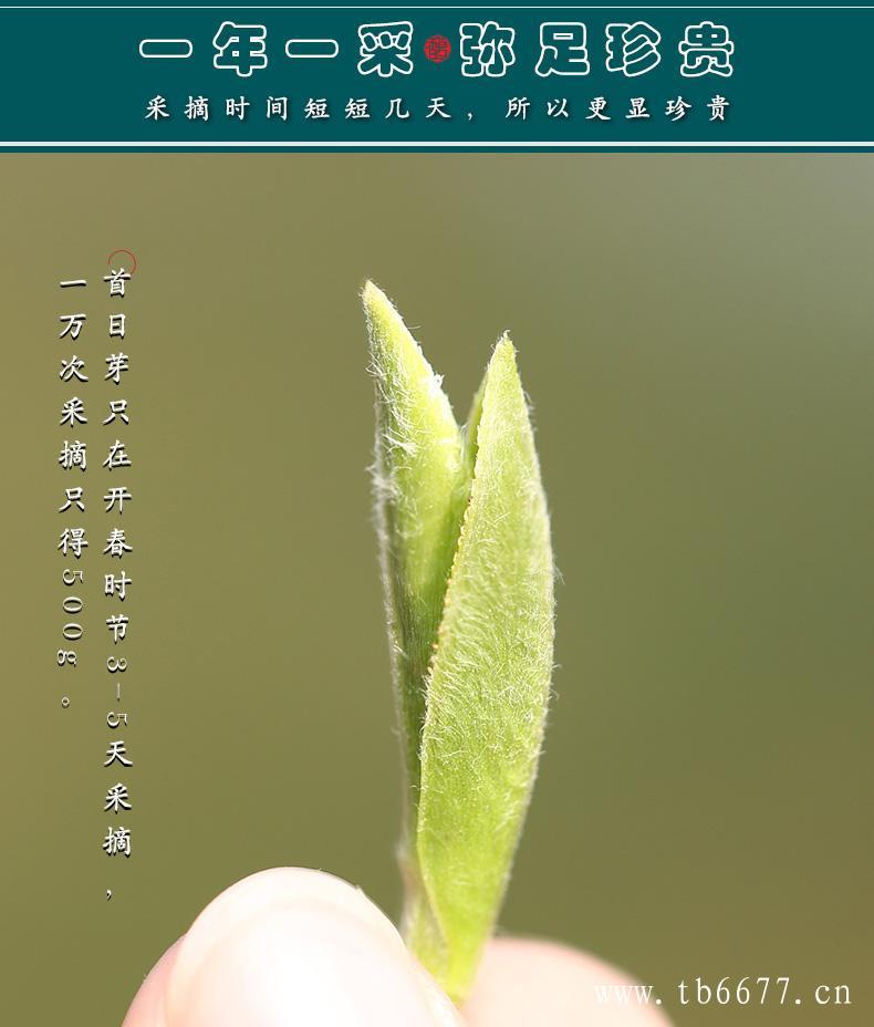 按现代称法，白毫银针又称是古老而又年轻的茶