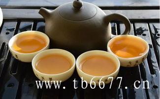 福鼎白茶的品种有哪些