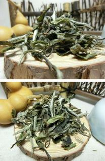 白茶和绿茶包含的品种