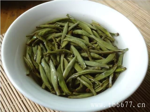 白茶鲜叶采摘技术