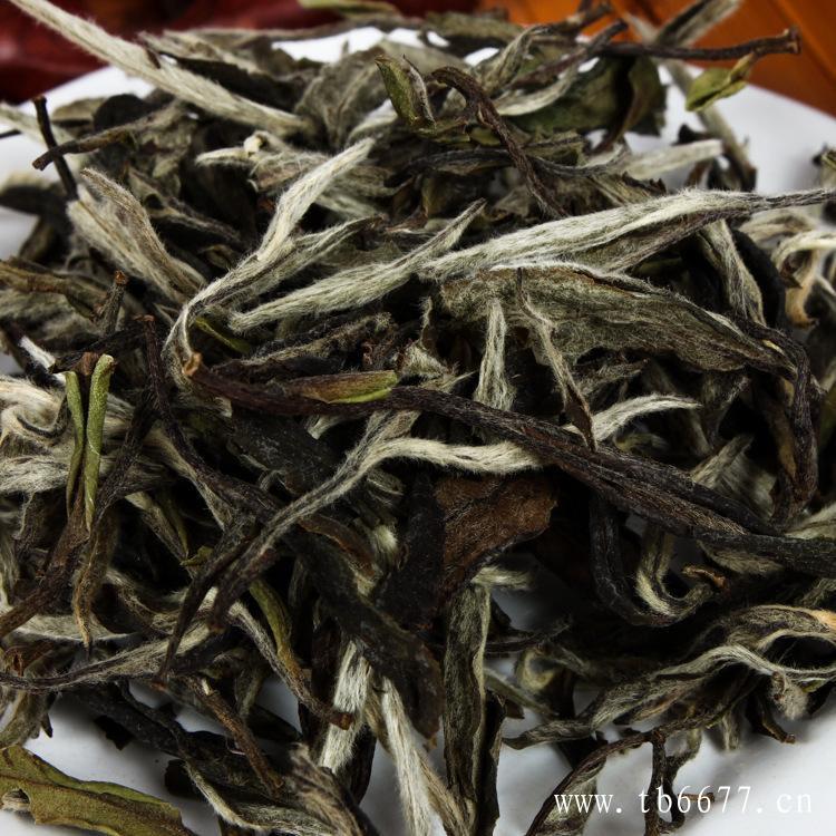 寿眉白茶茶汤清澈，口感极佳