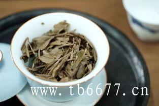 寿眉白茶独特的品种