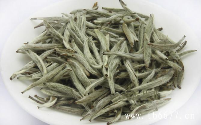 福鼎白茶陈茶的价格多少