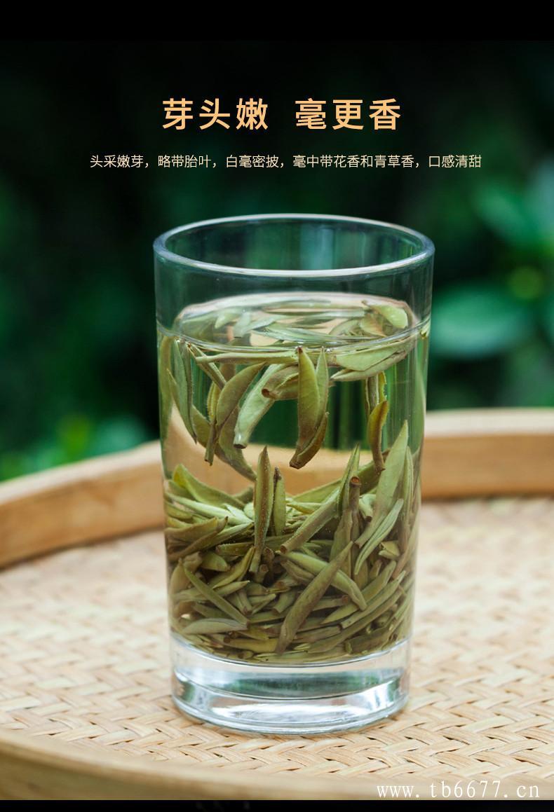 白茶和绿茶的区别