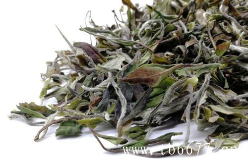 白茶用不用洗茶？,福鼎白茶饼的功效