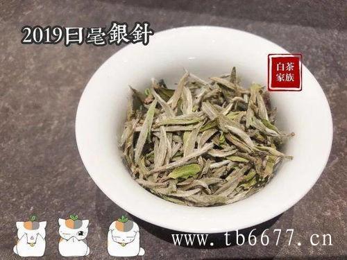 十大名茶之一--白毫银针的发展