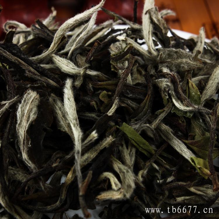 白毫银针茶饮法注意