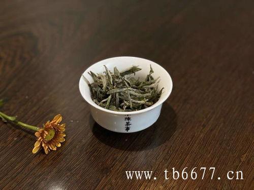 白牡丹茶简要认识