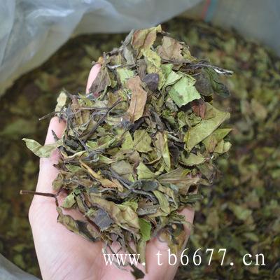 新茶特级有机白毫银针有机茶叶克,白牡丹茶的作用