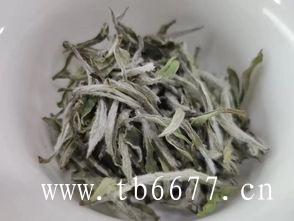 寿眉茶饼沏茶要领,白茶是哪里产的