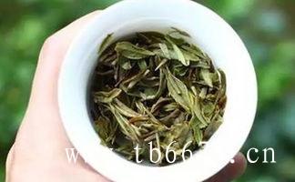 一中茶的白茶品种和价格,白毫银针的美容作用