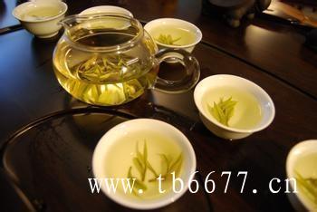 云南白茶的工艺与品种