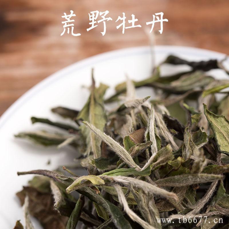 白牡丹茶陈茶价格多少