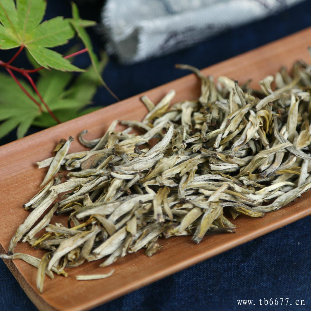 冲泡白茶需要洗茶