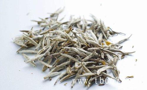 白茶怎么泡好喝