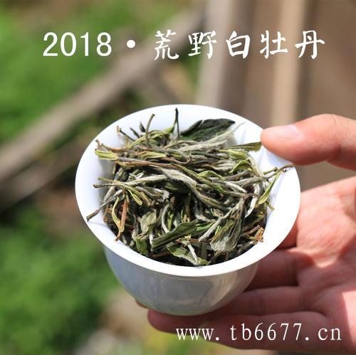 喝福鼎白茶的功效与作用,白牡丹茶的由来