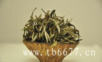 野生白牡丹茶饮用禁忌