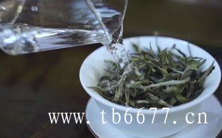 白毫银针的营养价值,白牡丹茶的制作由来