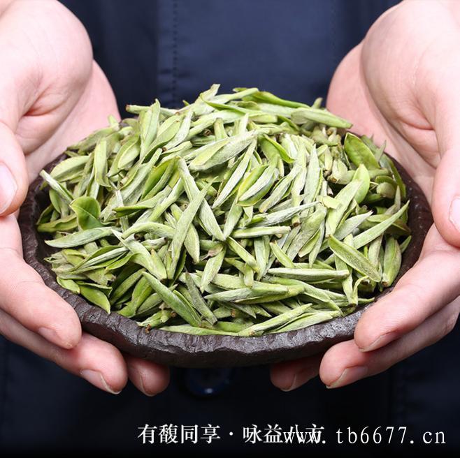 白牡丹茶饮用时间