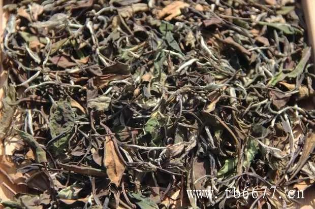 白毫银针和寿眉哪个适合收藏？,白牡丹茶功效